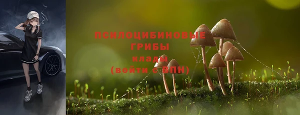 эйфоретик Белокуриха