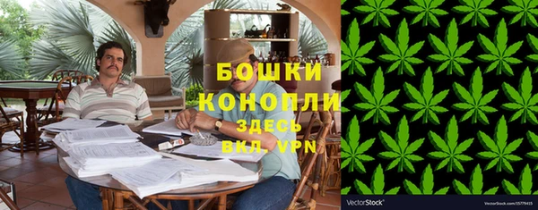 эйфоретик Белокуриха