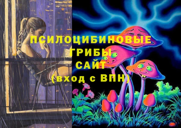 эйфоретик Белокуриха